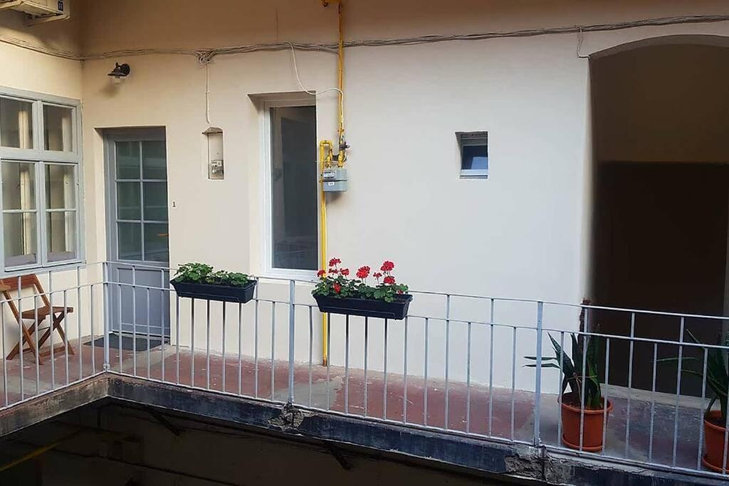Charming In Historical Center Apartment Timisoara